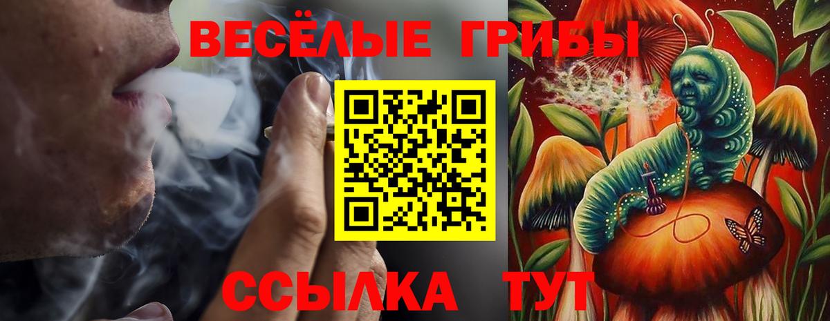 Сорочинск  Псилоцибиновые грибы мицелий  Вход с VPN 